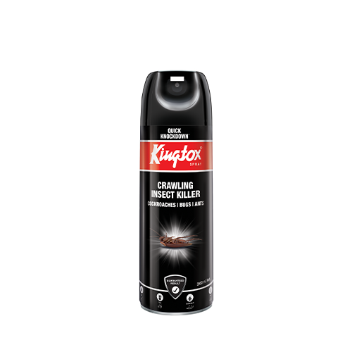 https://kingtox.com/wp-content/uploads/2024/11/black-300.png