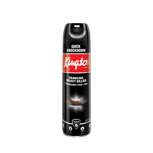 https://kingtox.com/wp-content/uploads/2024/11/black-400-1.png
