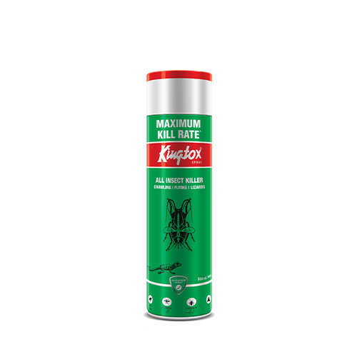 https://kingtox.com/wp-content/uploads/2024/11/green-300.png