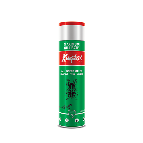 https://kingtox.com/wp-content/uploads/2024/11/green-400.png